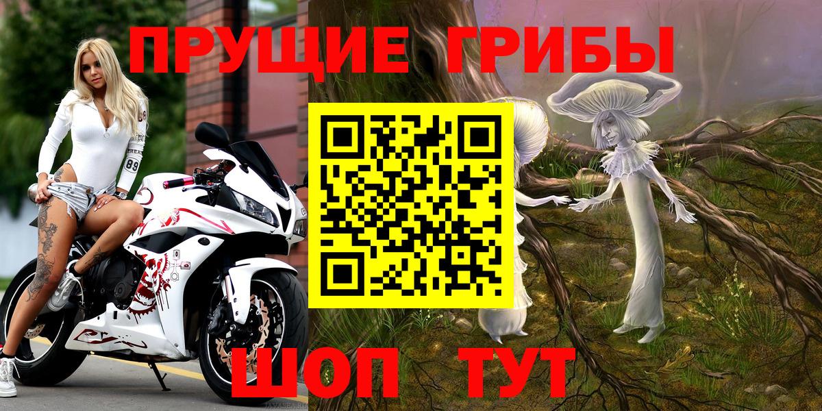 Псилоцибиновые грибы GOLDEN TEACHER Котлас