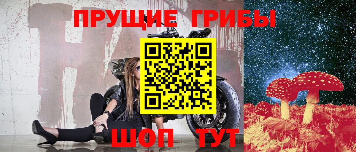 Котлас  Галлюциногенные грибы мицелий  хочу наркоту  Псилоцибиновые грибы прущие грибы  Вход с VPN 