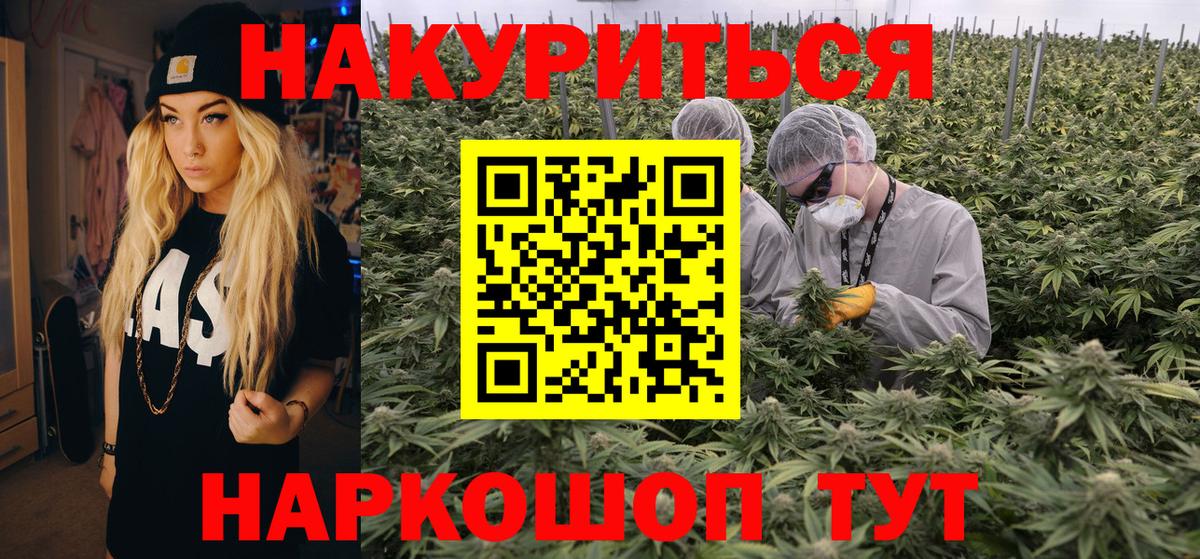 Котлас  МАРИХУАНА планчик  Бошки марихуана Bruce Banner  Вход с VPN  Марихуана план 